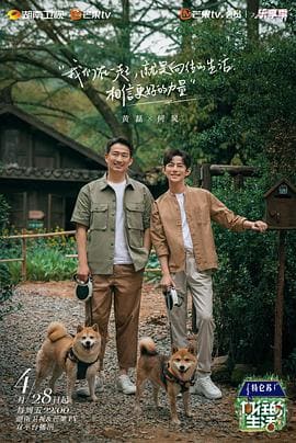 热门电视剧4